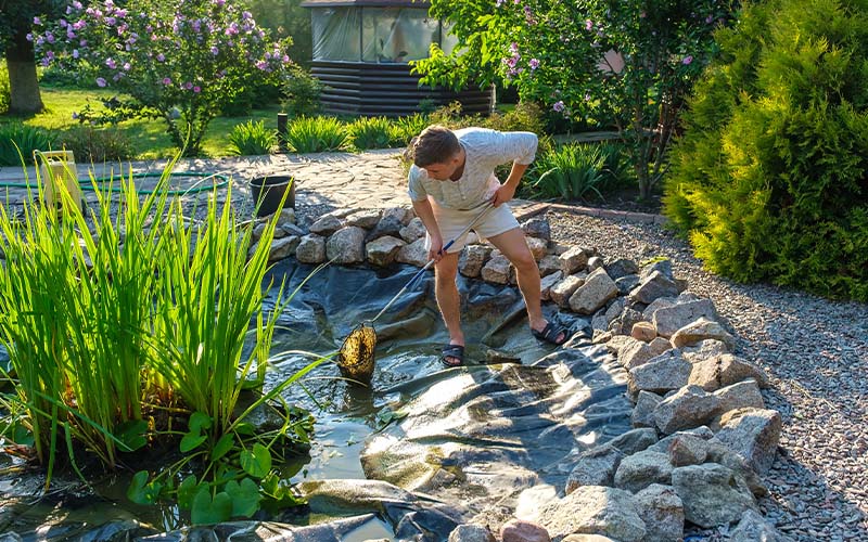 Pond Cleaning